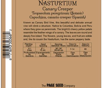 Nasturtium Canary Creeper