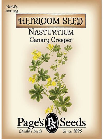 Nasturtium Canary Creeper