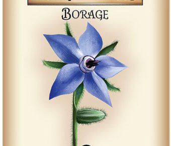Borage