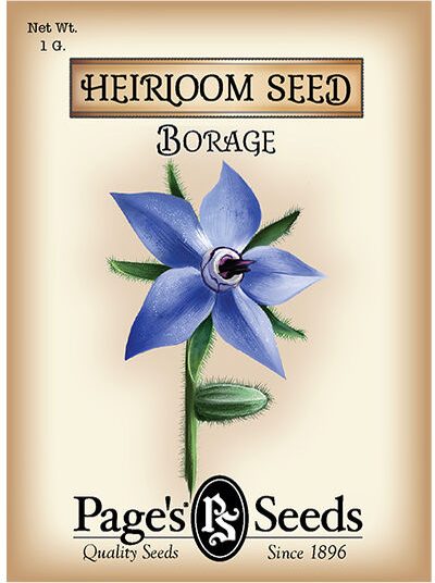 Borage
