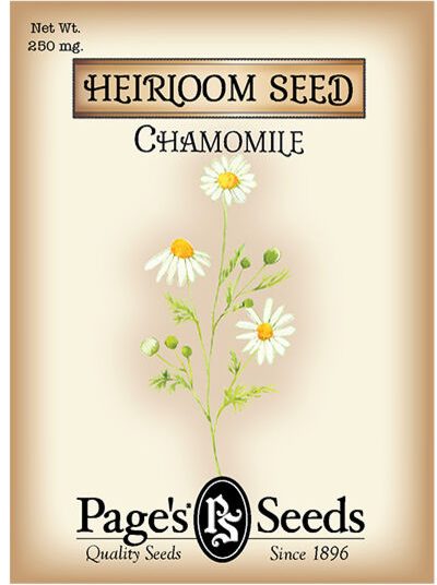 Chamomile