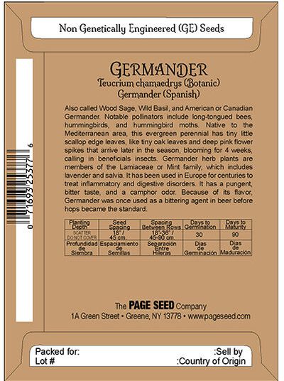 Germander