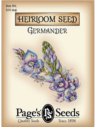 Germander