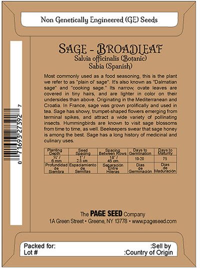 Sage Broadleaf Italian