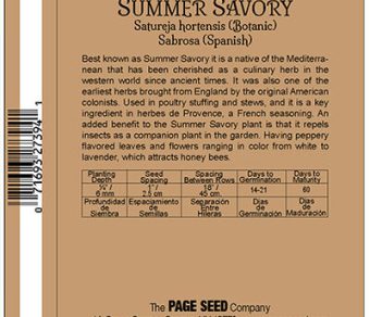 Summer Savory
