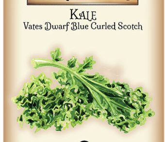 Kale Vates Dwarf Blue Curled Scotch
