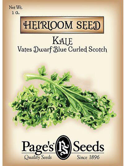 Kale Vates Dwarf Blue Curled Scotch
