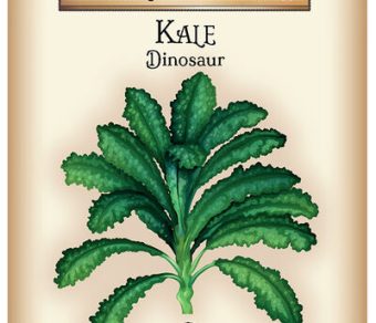 Kale Dinosaur