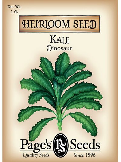 Kale Dinosaur