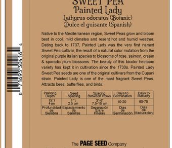 Sweet Pea Painted Lady