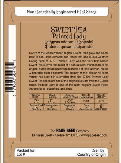 Sweet Pea Painted Lady