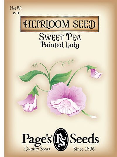 Sweet Pea Painted Lady