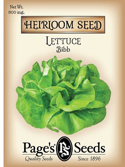 Lettuce Bibb