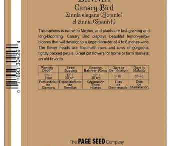 Zinnia Canary Bird