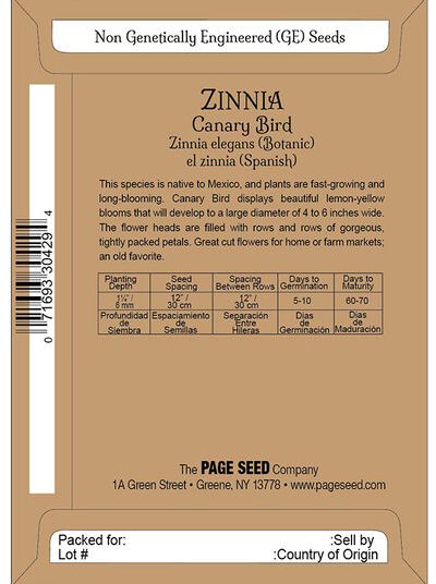 Zinnia Canary Bird