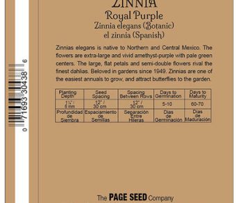 Zinnia Royal Purple