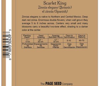 Zinnia Scarlet King