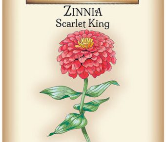 Zinnia Scarlet King