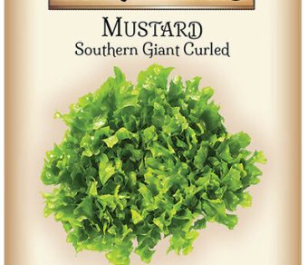 Mustard Southern Giant