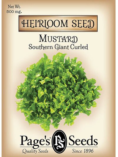 Mustard Southern Giant