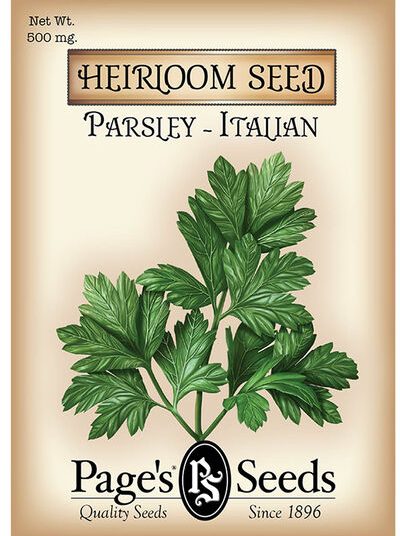 Parsley Italian