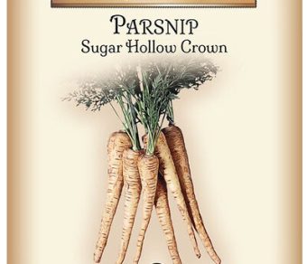 Parsnip Sugar Hollow Crown
