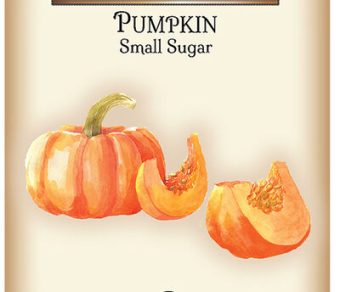 Pumpkin Small Sugar