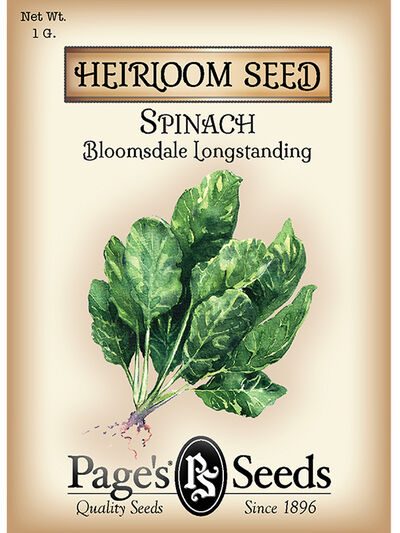 Spinach Bloomsdale Long Standing