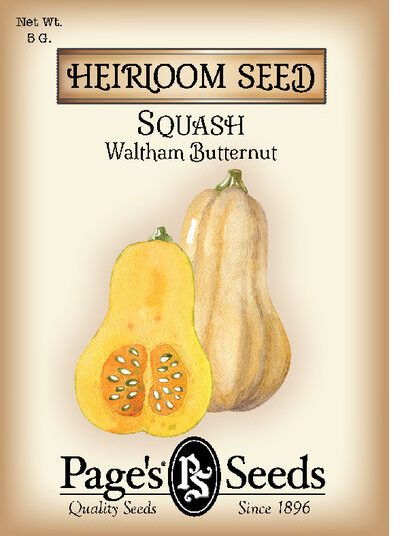 Squash Waltham Butternut