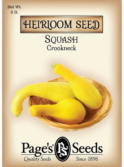 Squash Yellow Crookneck