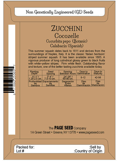 Zucchini Cocozelle - Image 3