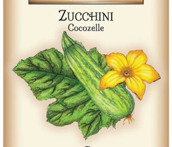 Zucchini Cocozelle