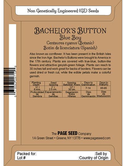 Bachelor's Button Blue Boy