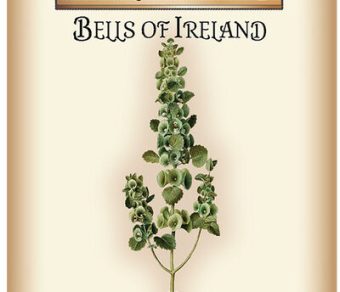 Bells of Ireland