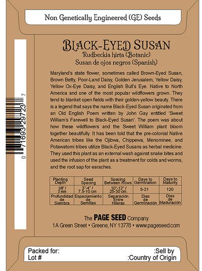 Black-Eyed Susan