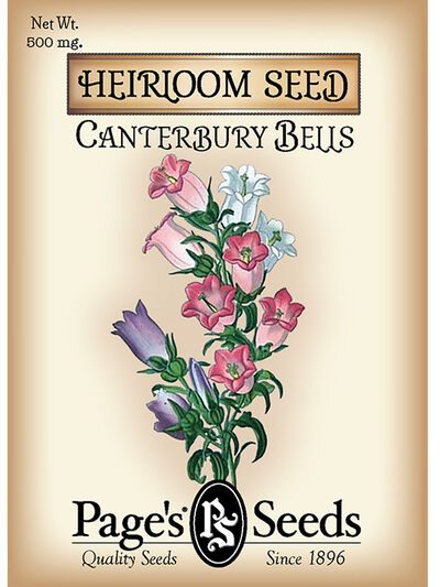 Canterbury Bells