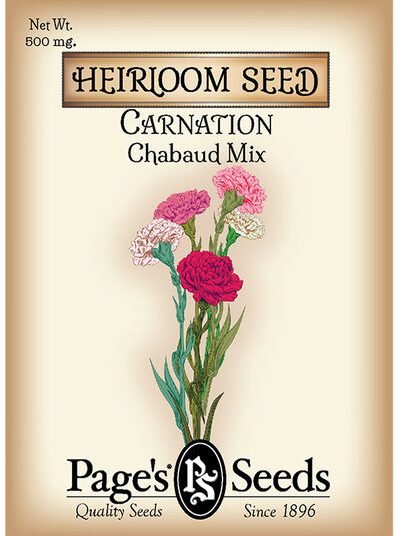 Carnation Chabaud Mix
