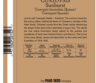 Coreopsis Sunburst