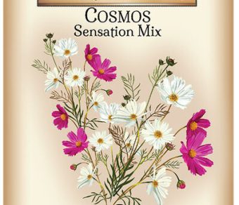 Cosmos Sensation Mix