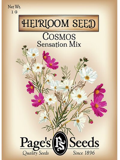 Cosmos Sensation Mix