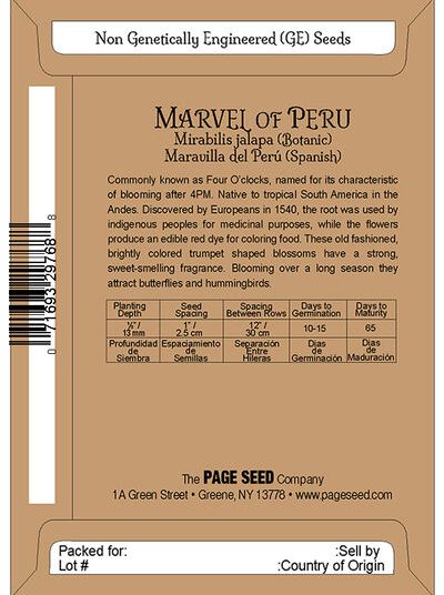 Marvel of Peru