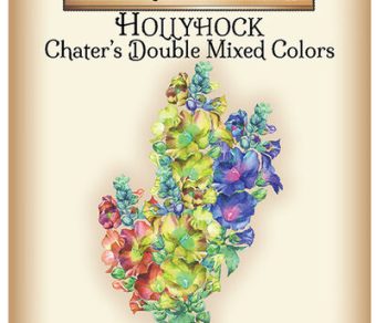Hollyhock Charter's Double Mixed Colors