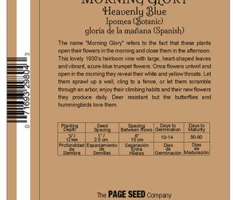 Morning Glory Heavenly Blue