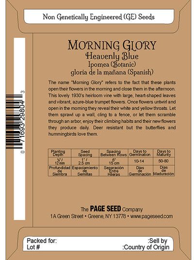 Morning Glory Heavenly Blue