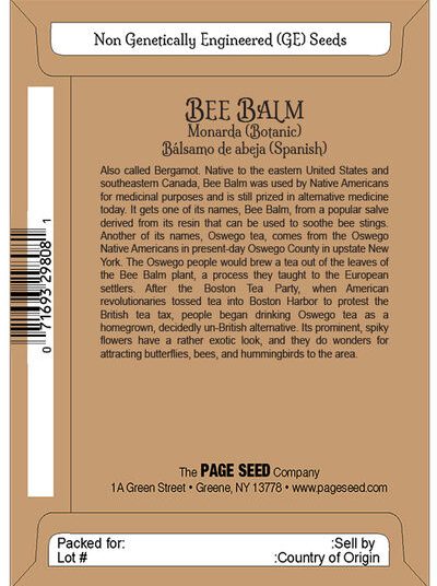 Bee Balm