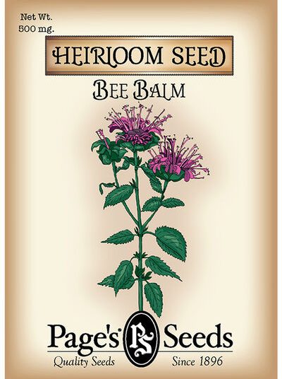 Bee Balm