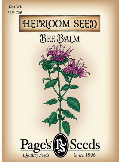Bee Balm