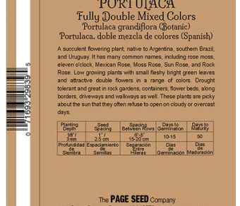 Portulaca Fully Double Mixed Colors