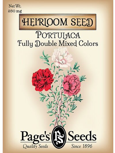 Portulaca Fully Double Mixed Colors