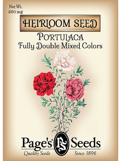 Portulaca Fully Double Mixed Colors